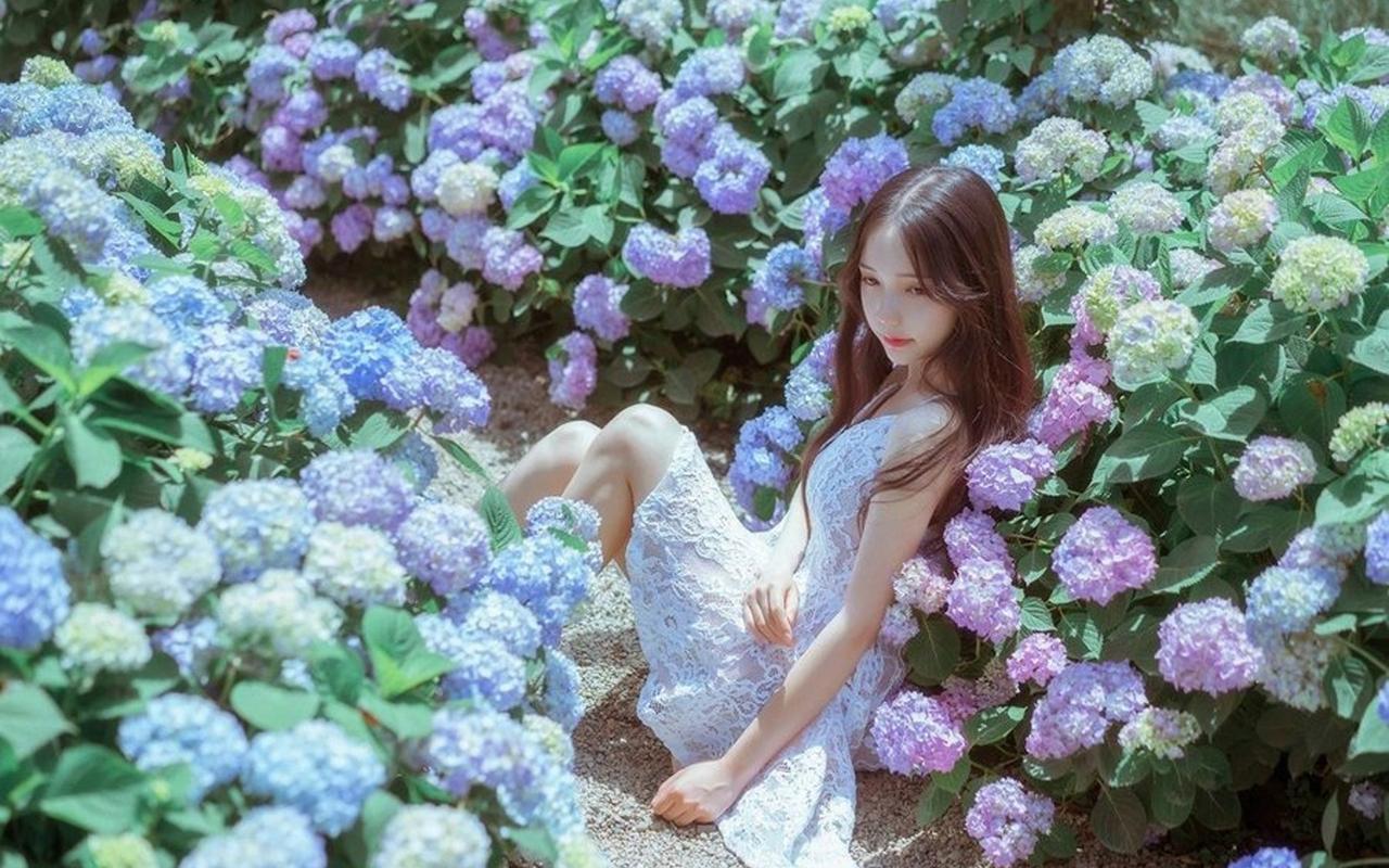 重庆高温天气持续 大熊猫等动物享夏日“清凉套餐”